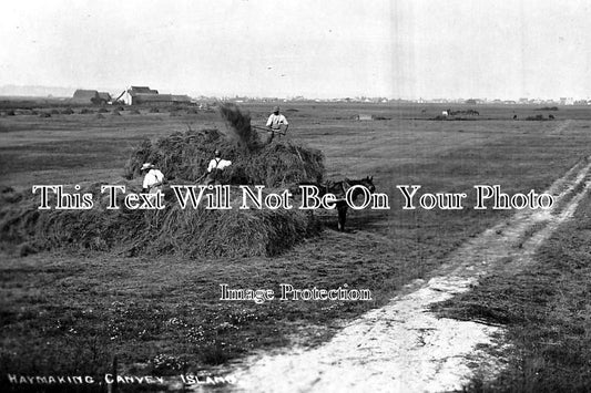 ES 206 - Haymaking Canvey Island, Essex c1914