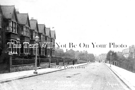 ES 2213 - The Avenue, Highams Park, Essex c1910