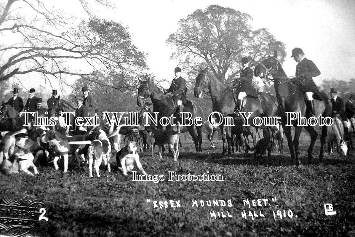 ES 2588 - Essex Hounds Meet Hill Hall c1910