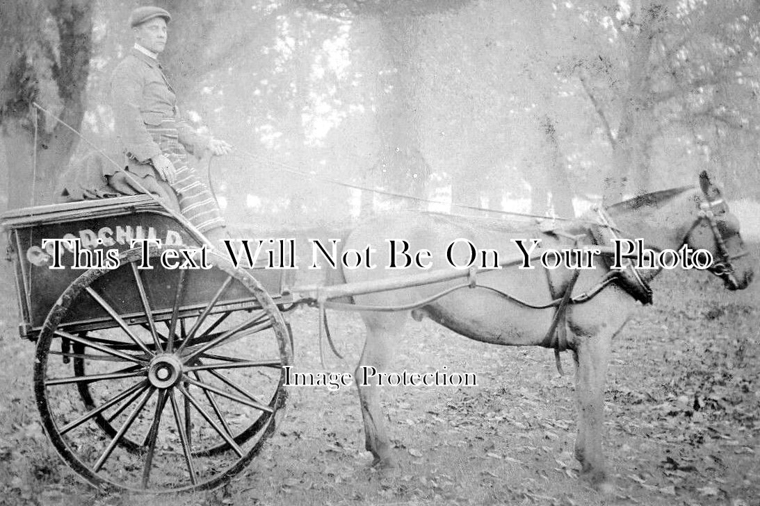 ES 262 - Butchers Cart, Witham, Essex c1906