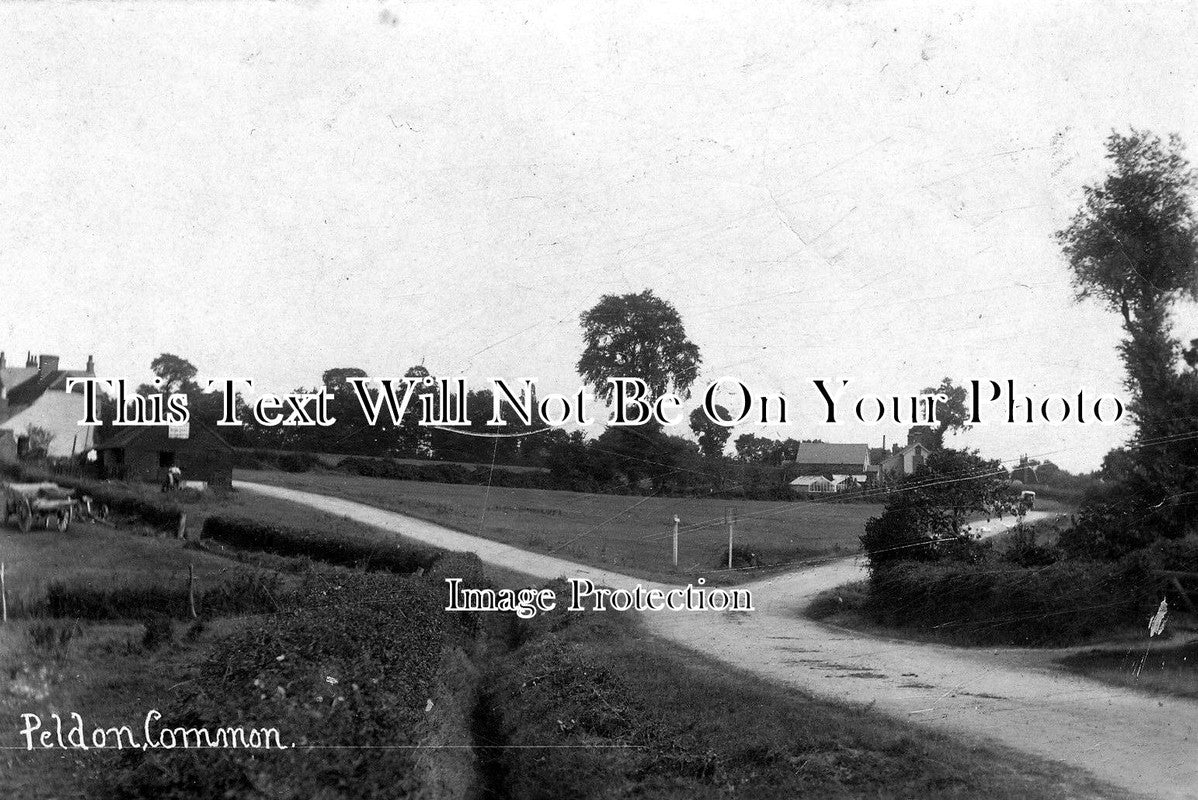 ES 343 - Peldon Common, Essex – JB Archive