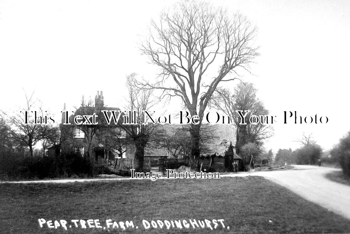 ES 3468 - Pear Tree Farm, Doddinghurst, Essex