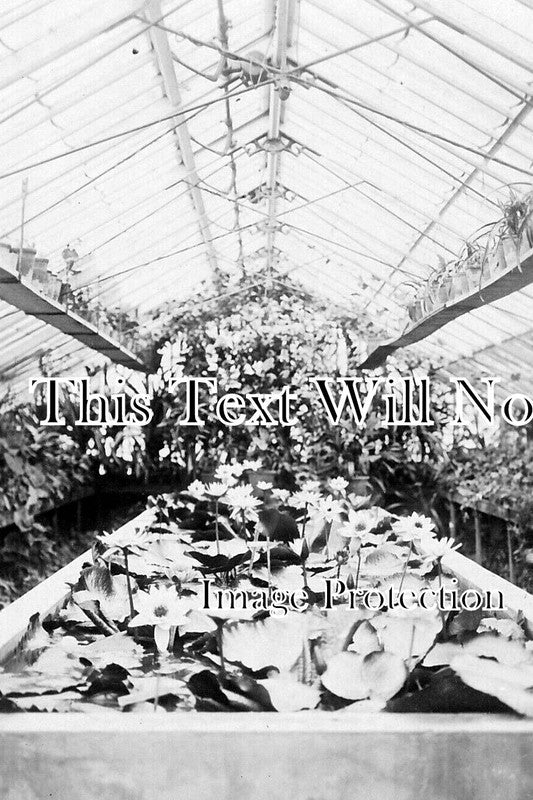 ES 3697 - Lily House, Easton Lodge, Great Dunmow, Essex c1910