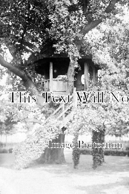 ES 3707 - Tree House, Easton Lodge, Great Dunmow, Essex c1910