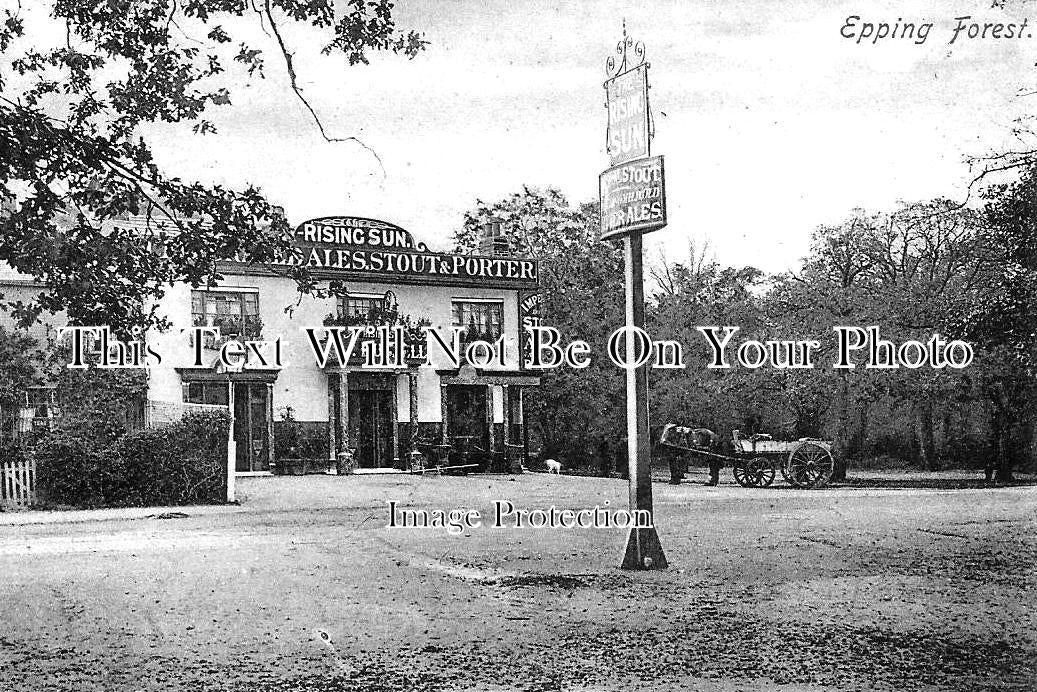 ES 3817 - The Rising Sun Pub, Epping Forest, Essex c1905