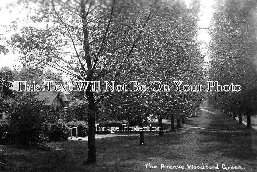 ES 4014 - The Avenue, Woodford Green, Essex c1931