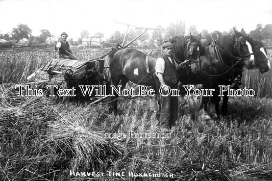 ES 4233 - Harvest Time, Hornchurch, Essex