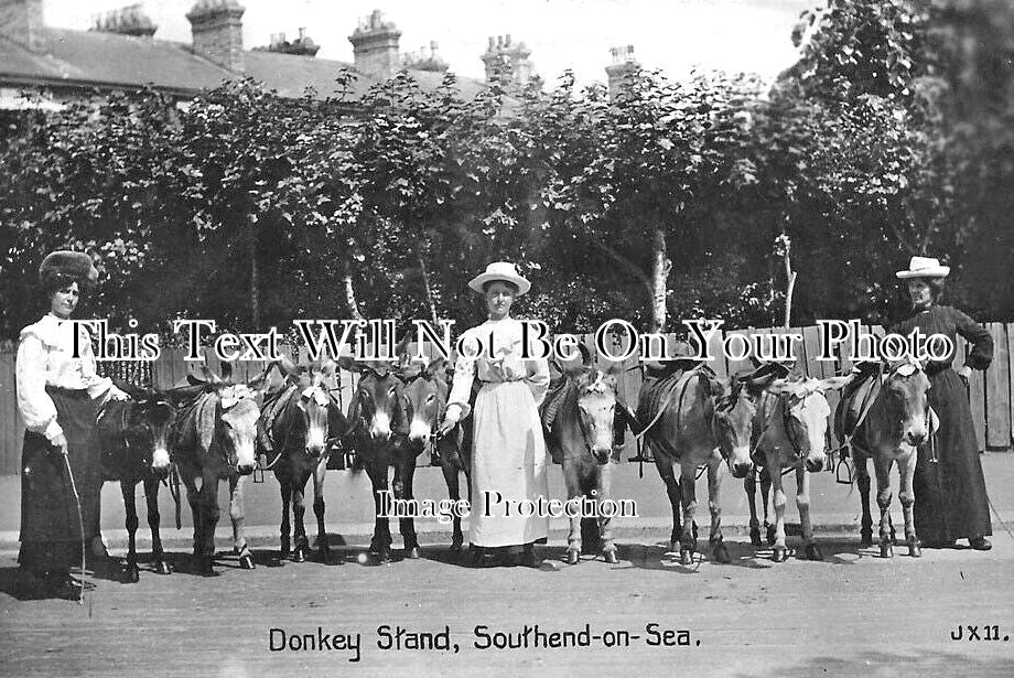 ES 4309 - Donkey Stand, Southend On Sea, Essex c1911