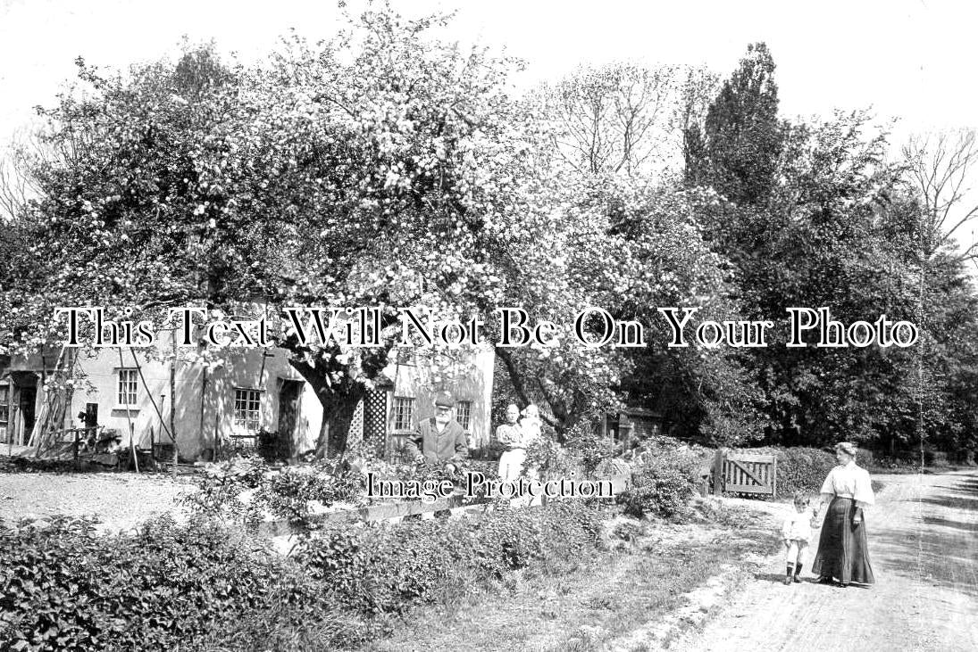 ES 4446 - Aythorpe Roding, Essex c1912