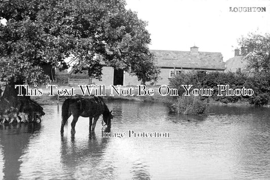 ES 4823 - Pond In Loughton, Essex