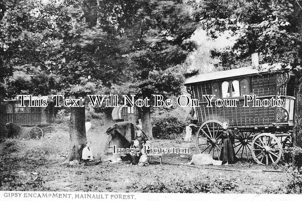 ES 4877 - Gipsy Encampment, Hainault Forest, Essex