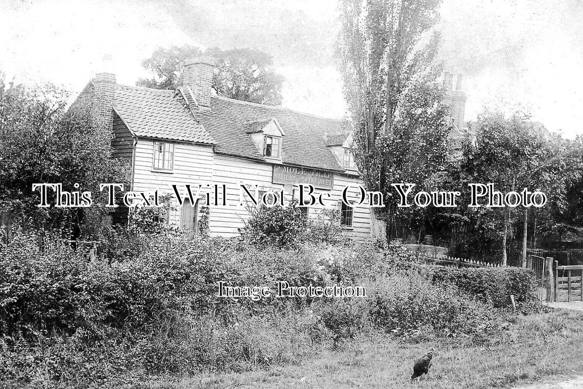 ES 4903 - The Mole Trap Pub, Tawney Common, Essex