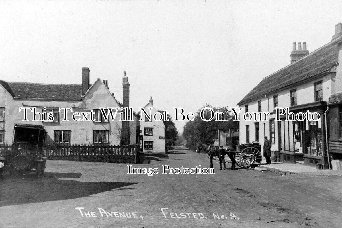 ES 492 - The Avenue, Felsted, Essex c1916