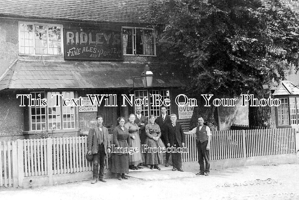 ES 4933 - The Green Man Inn Pub, Bishops Stortford, Essex c1922