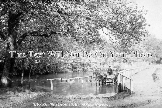 ES 5229 - Buckhurst Hill Pond, Essex c1909