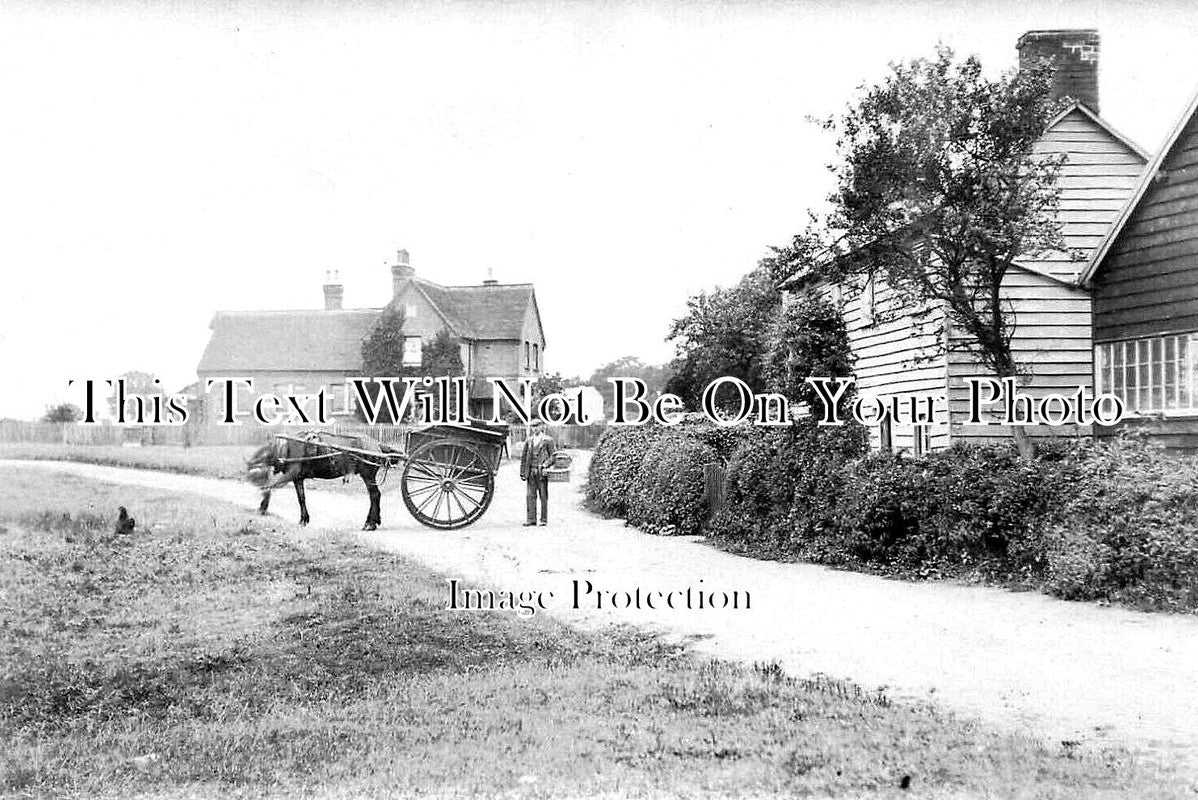 ES 5275 - Alphamstone, Essex c1910