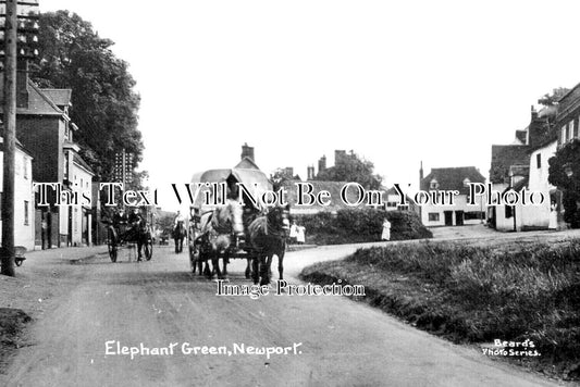 ES 5290 - Elephant Green, Newport, Essex c1911