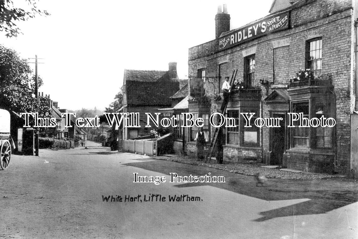 ES 5291 - The White Hart Pub, Little Waltham, Essex