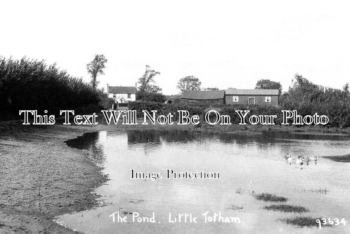 ES 5295 - The Pond, Little Totham, Essex