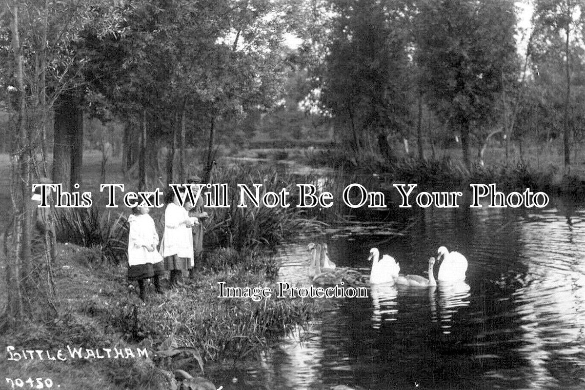 ES 5302 - River Chelmer, Little Waltham, Essex c1912 – JB Archive