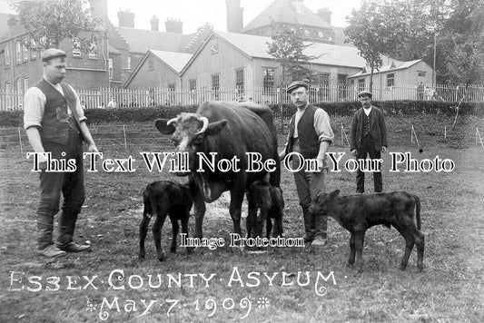 ES 5655 - Essex County Asylum, Essex 1909