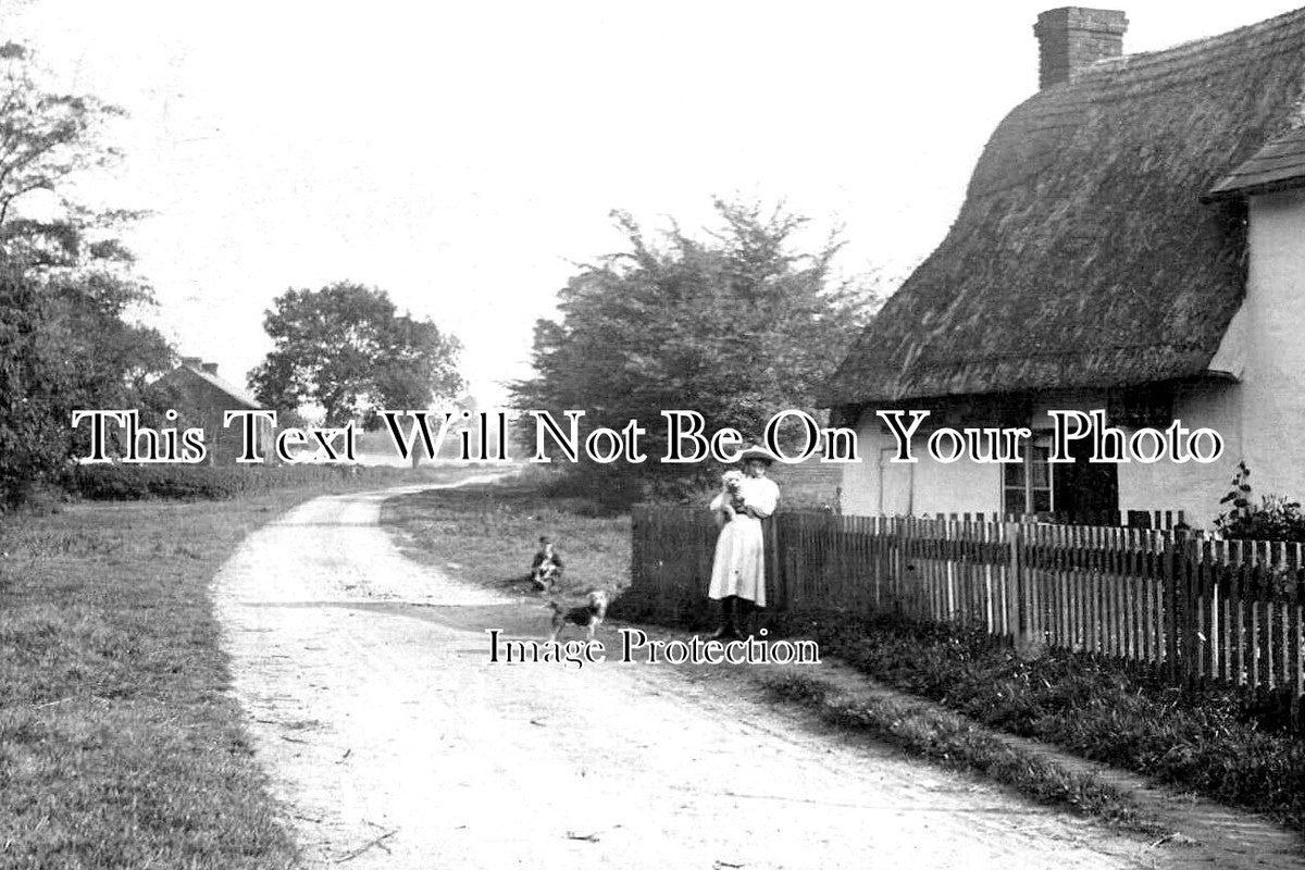 ES 5819 - Elder Street, Wimbish, Essex