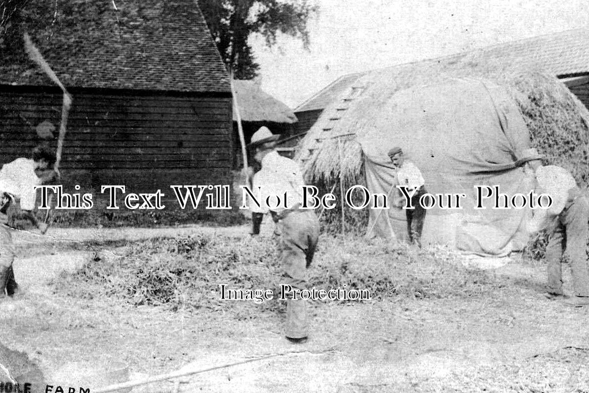 ES 5834 - Hole Farm Workers, Rivenhall, Essex c1905