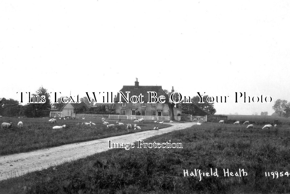 ES 5883 - Hatfield Heath, Essex c1929