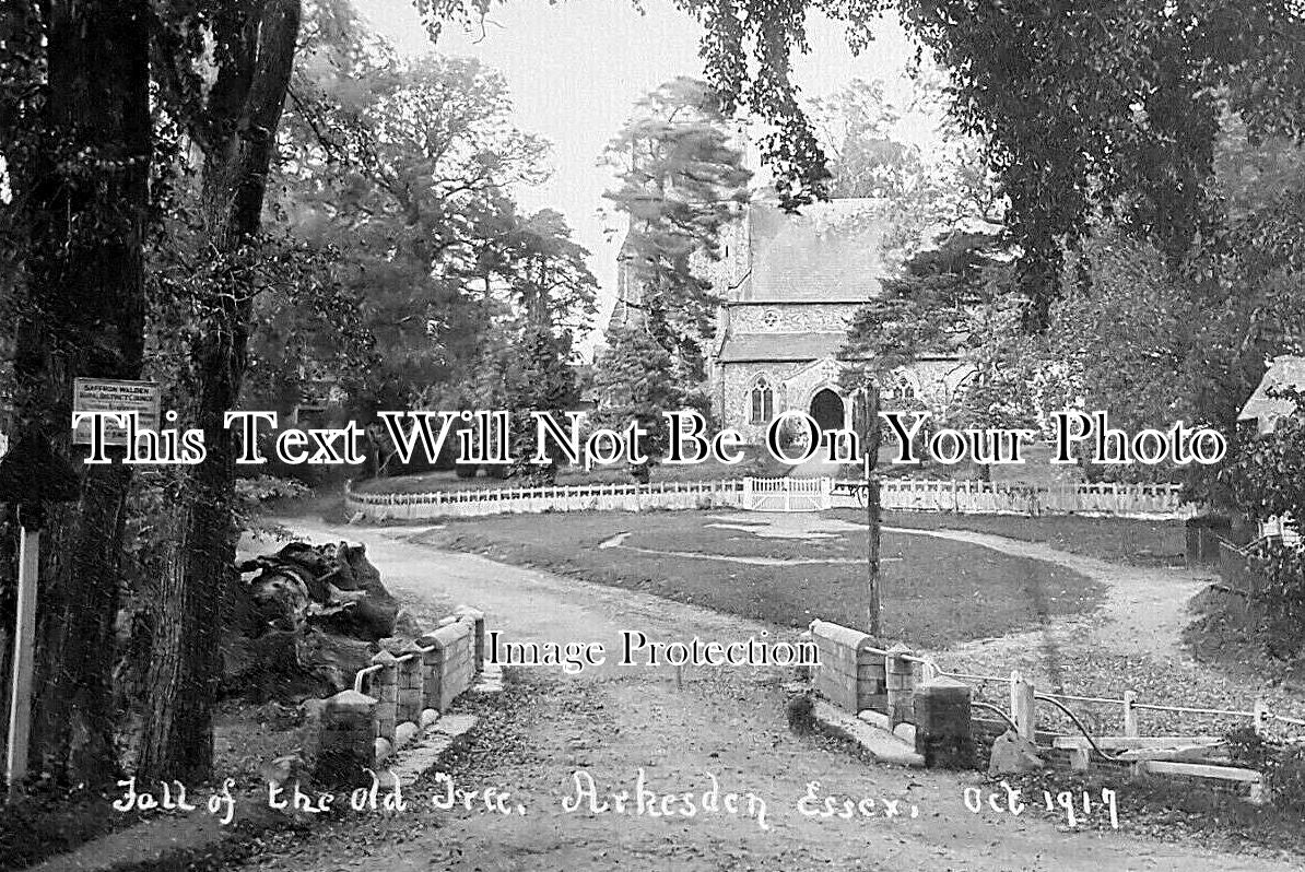 ES 5951 - Fall Of The Old Tree, St Marys Church, Arkesden, Essex 1917