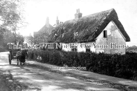 ES 6097 - Thatched Cottages, Halstead, Essex c1904
