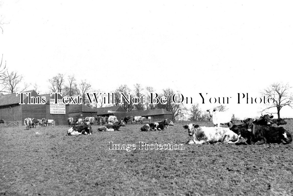 ES 6101 - Borders Farm, Loughton, Essex c1906