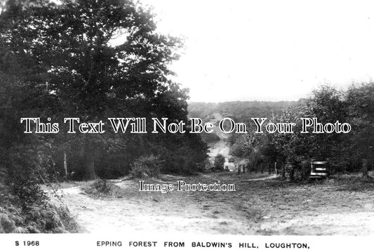 ES 6144 - Epping Forest From Baldwins Hill, Loughton, Essex c1908