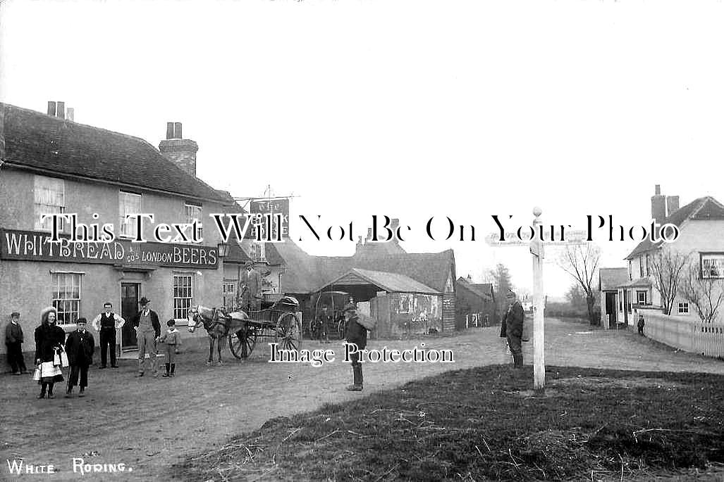 ES 6273 - The Black Horse Pub, White Roding, Essex