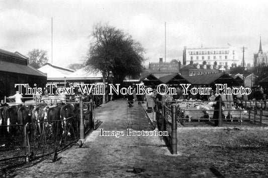 ES 806 - Cattle Market, Chelmsford, Essex