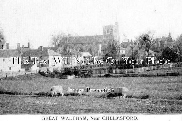 ES 866 - Great Waltham Village, Essex