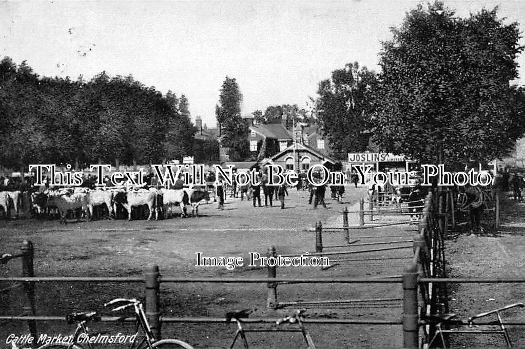 ES 968 - Cattle Market, Chelmsford, Essex c1907
