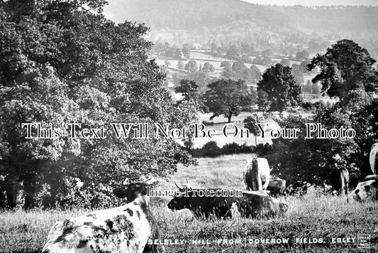 GL 1033 - Selsley Hill From Doverow Fields, Ebley, Gloucestershire c1915