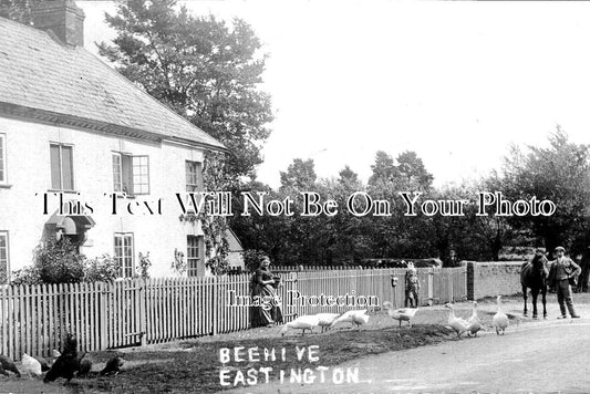 GL 1169 - Beehive, Eastington, Gloucestershire