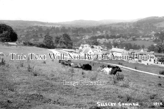 GL 1308 - Selsley Common, Stroud, Gloucestershire
