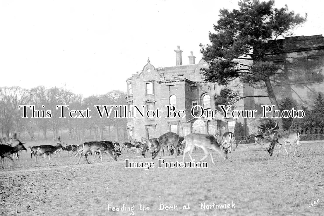 GL 1381 - Feeding The Deer At Northwick, Gloucestershire