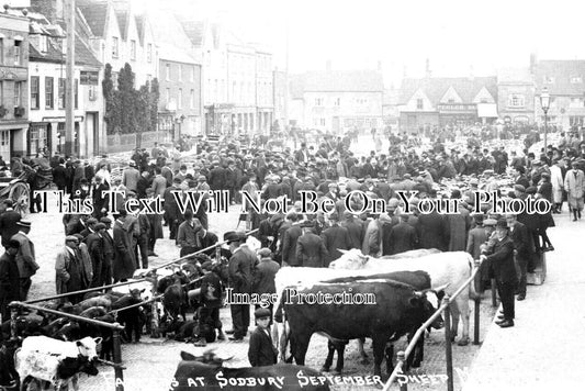 GL 1579 - Chipping Sodbury Sheep Market, Gloucestershire