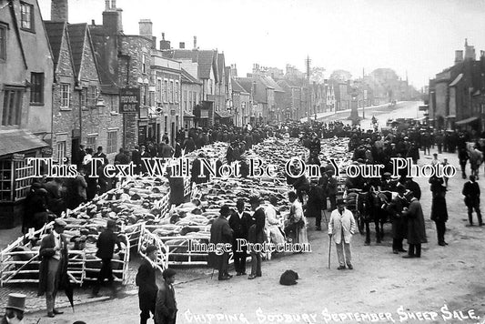 GL 1689 - Chipping Sodbury Sheep Sale, Gloucestershire c1915