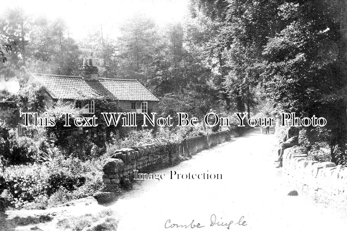 GL 2051 - Combe Dingle, Gloucestershire