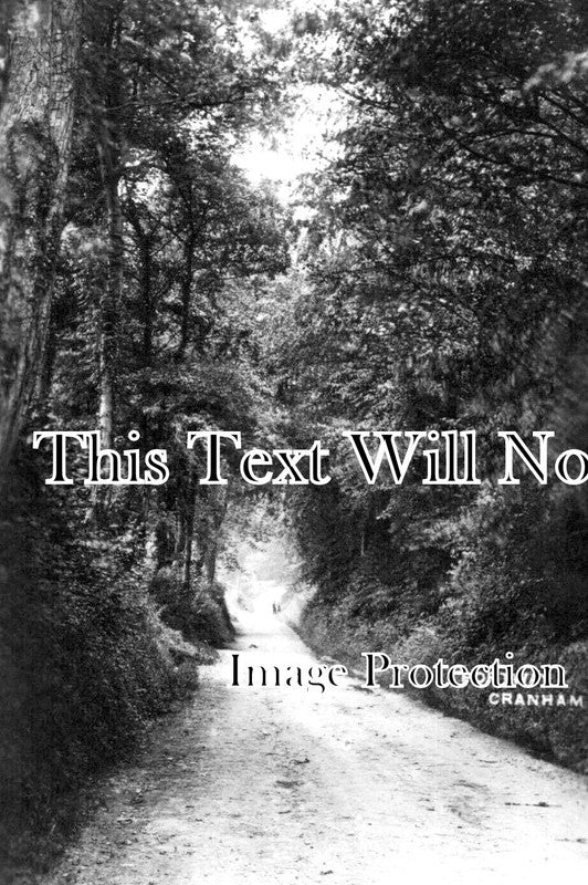 GL 2093 - Portway, Cranham, Gloucestershire