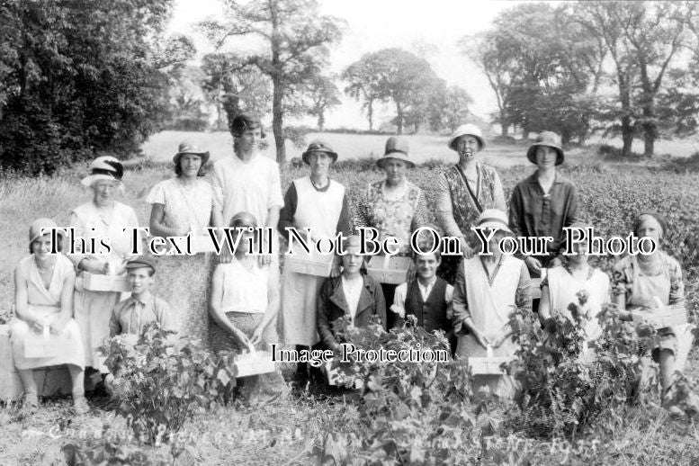 GL 221 - Currant Pickers, Stone, Gloucestershire c1935