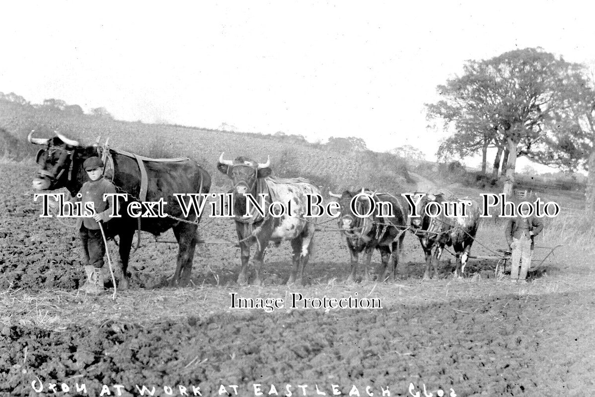 GL 2320 - Oxon At Work, Eastleach, Gloucestershire c1908