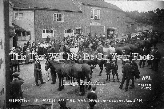 GL 24 - Inspection Of Horses For The War Office, Newent, Gloucestershire 1914