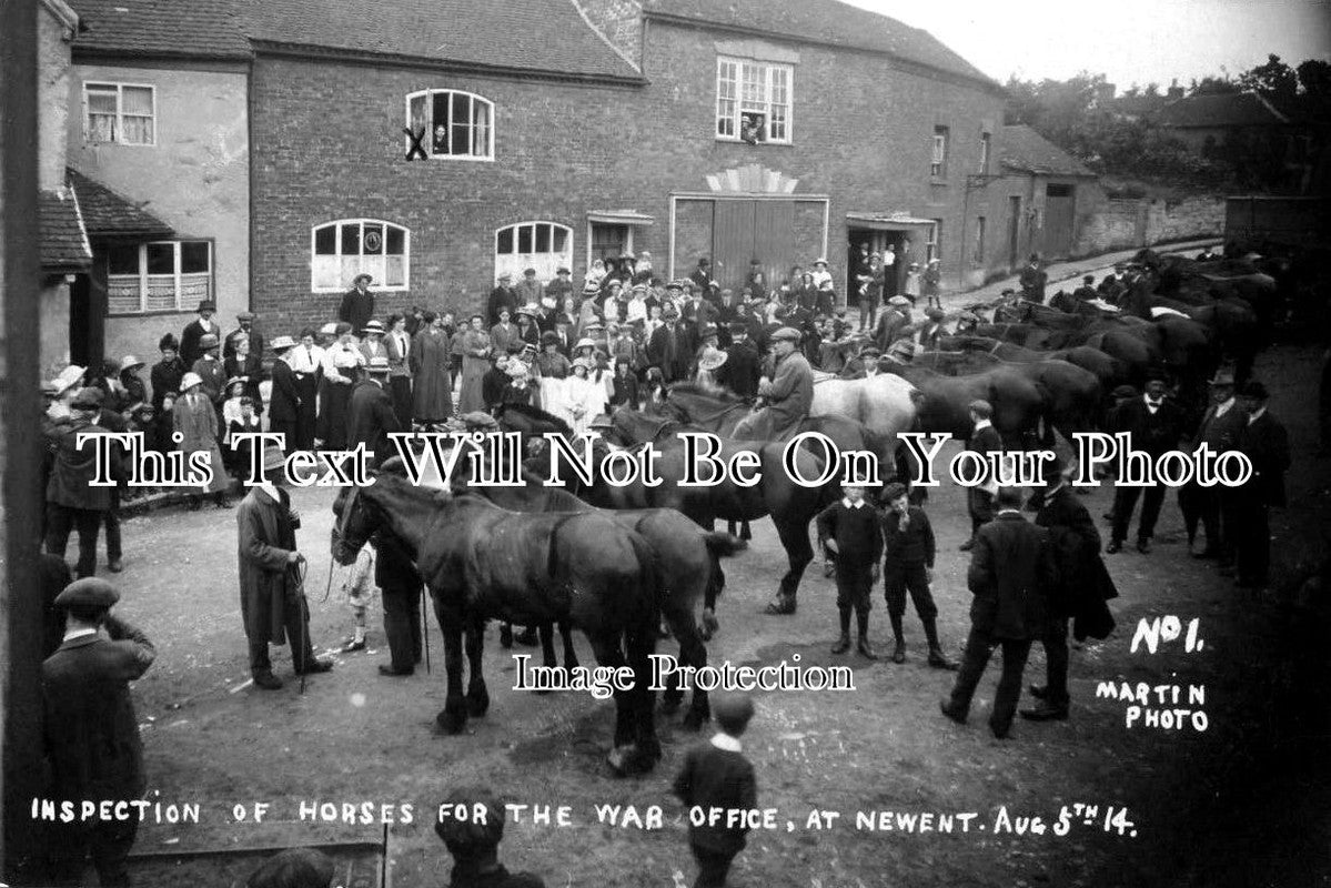 GL 278 - Inspection Of Horses For War Office, Newent, Gloucestershire