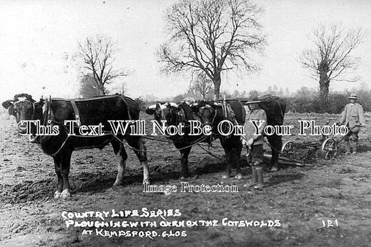 GL 34 - Ploughing With Oxen, Kempsford, Gloucestershire c1929