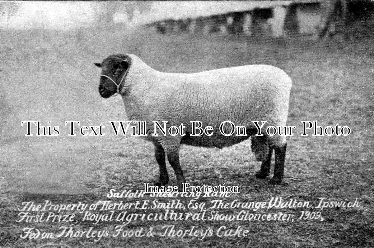 GL 474 - Royal Agricultural Show, Gloucester, Gloucestershire 1909